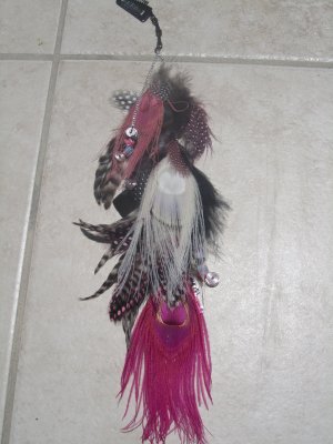 "Zebra" Feather