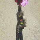 Natural black peacock