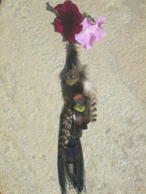 Natural black peacock