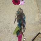 EDC Colorful