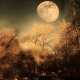Landscapes