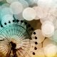 Carnival
