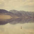 Reflection sepia toned water and mountain scape with a bird flying over photo Print 4x6