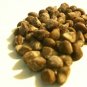 HBWR Hawaiian Baby Woodrose 30 Seeds -Very Fresh !!
