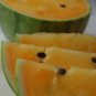 California Orange Watermelon (Citrullus lanatus) 10 Seeds ~ HIGH ALKALINE LINE