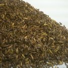 Phalaris Arundinacea 5000 Seeds REED CANARY GRASS