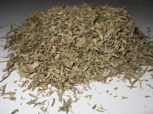 50 Zimmer Spanish Nicotiana Tabacum Seeds (Cigar Binder Tobacco) Fresh Heirloom!