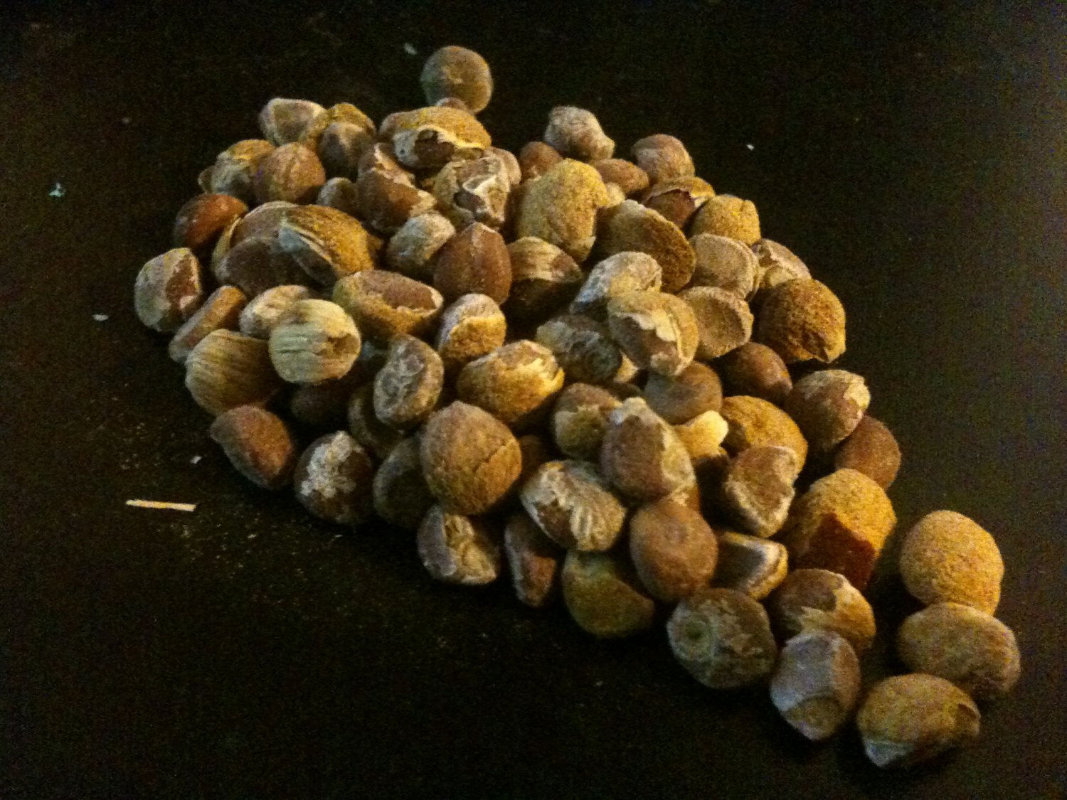 100 HBWR Hawaiian Strain Hawaiian Baby Woodrose Seed