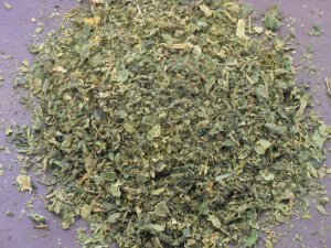 1g Organic STINGIN NETTLE LEAF dried herb URTICA DIOICA