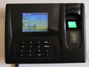 Professional Color Fingerprint Time Attendance System