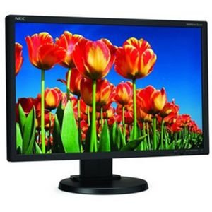Display Multisync E222w Widescreen Lcd Monitor