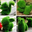 Cute Mini Grassy Pet