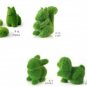 Cute Mini Grassy Pet