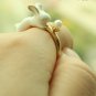 Rabbit Ring
