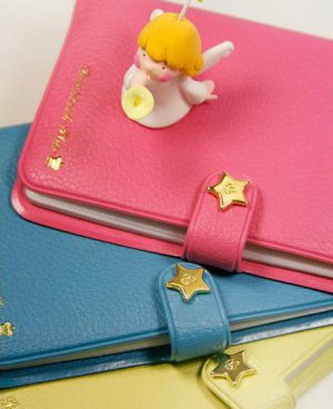 Star Clipped Bank Book