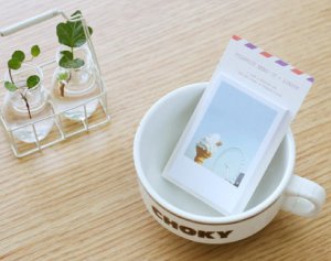 Polaroid Memo