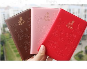 Lovely Travel Document Case