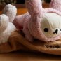 Kawaii Rilakkuma San-X Cuddly Pouch