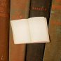Mini Vintage Blank Book Sticky Note