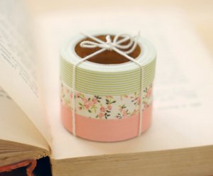 Fabric Tape 3 in 1 - Solid, Flower, Stripe