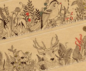 Beautiful Transparent Nature Illustration Deco Tape