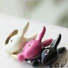 Black Rabbit Ring