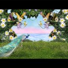 Magic Garden