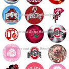 Buckeyes