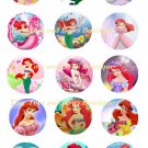 Ariel