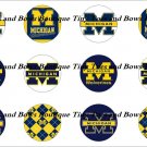 Michigan Wolverines