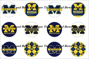 Michigan Wolverines