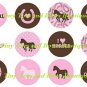 I love Horses
