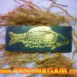 Fishing Amulet