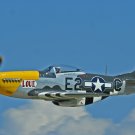 Special offer, 1/18 P-51D Mustang, new, $195, plus shipping