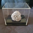 Replica/Reproduction of Moon Rock