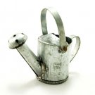Galvanize Garden Plant Watering Pot Dollhouse Miniature #11157