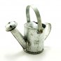 Galvanize Garden Plant Watering Pot Dollhouse Miniature #11157