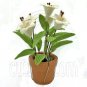 Porcelain New White Lily Flower Pot Dollhouse Miniature #11747