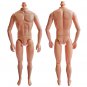 Naked Nude Raw Body Custom Muscular Men Male 1/6 Scale Action Figure 12"" Dolls #13306