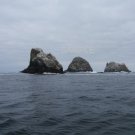 Taken In The Ocean