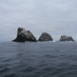 Taken In The Ocean