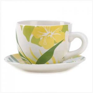 Mini Teacup Planter