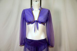 Genie or Belly Dancer Costume