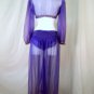 Genie or Belly Dancer Costume