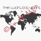 the world is yours