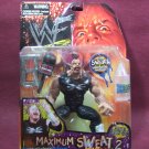 WWF Maximum Sweat 2 ROAD DOGG JESSE JAMES action figure 1999 jakks NEW