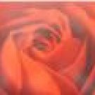 Red Rose