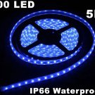 Blue IP66 Waterproof 5M SMD 3528 300 LED Strip Light  Free Shipping
