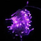 Purple 100 LED 10m Party Wedding String Light  10pcs/lot  Free Shipping