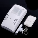 Wholesale Mini Home Alarm Surveillance DVR Camera with Remote Controller Free Shipping